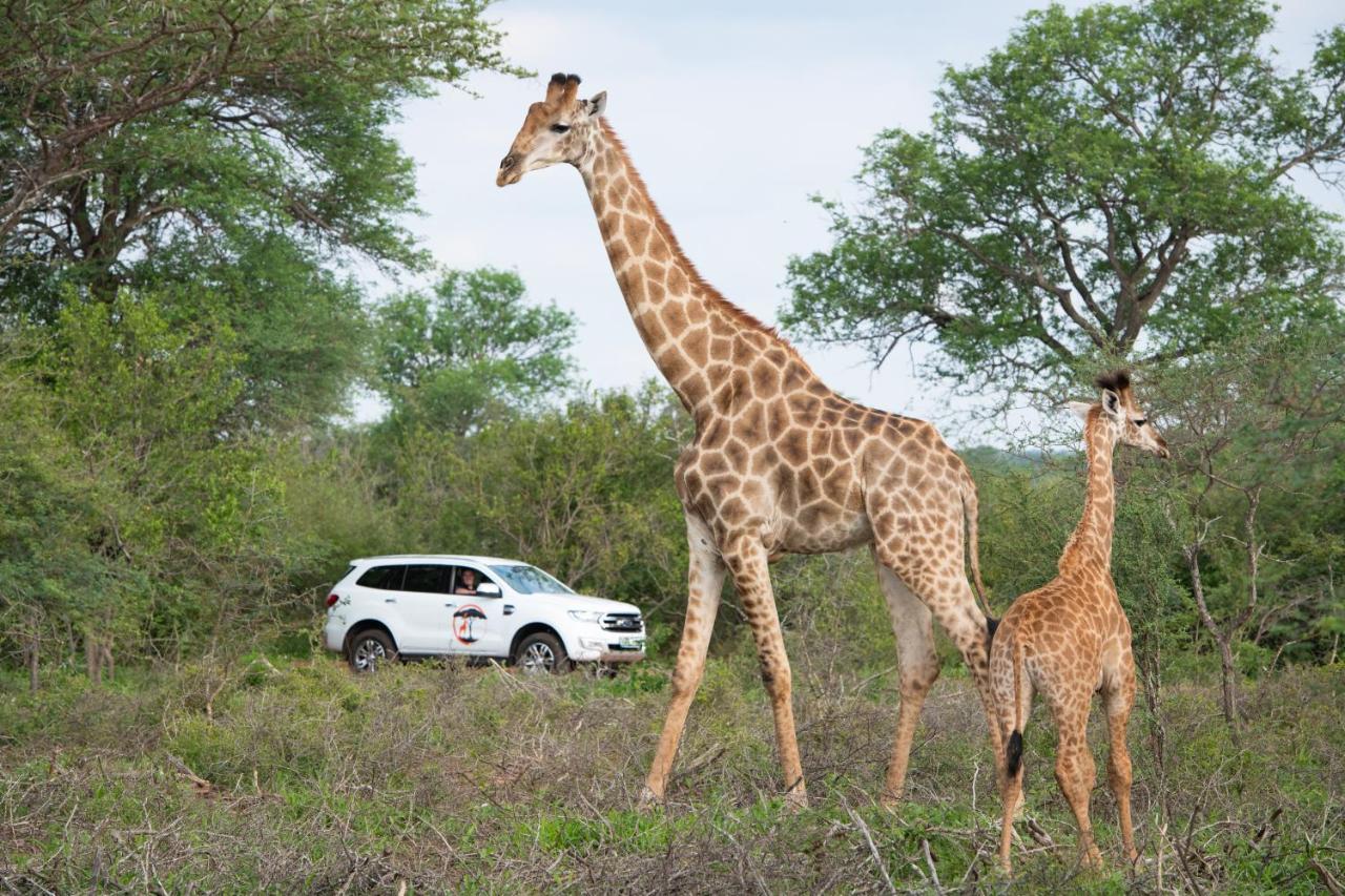 Willa Twiga Travel Hoedspruit Zewnętrze zdjęcie